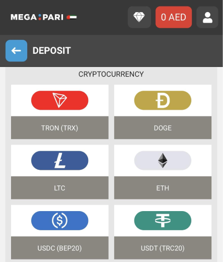 MegaPari Online Sportsbook: Payment Methods
