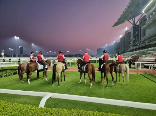 Horse Race Betting Sites UAE: Meydan Racecourse