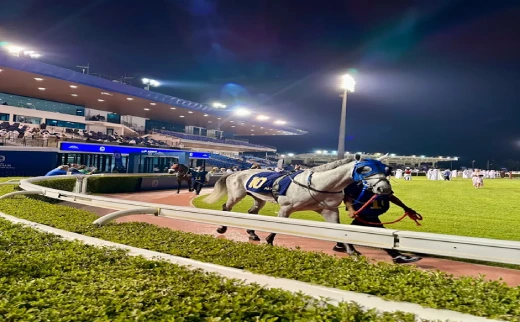Abu Dhabi Equestrian Club
