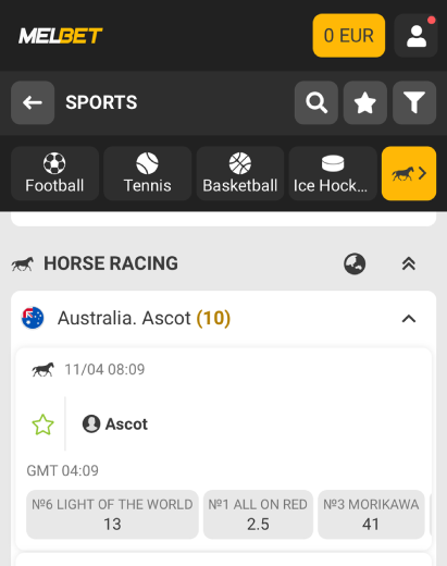 Horse Race Betting Sites UAE: Melbet