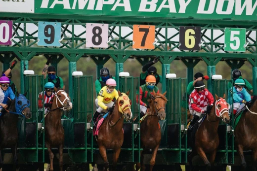 Types of UAE Horse Racing