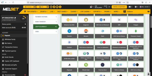 More of Melbet's Payment options